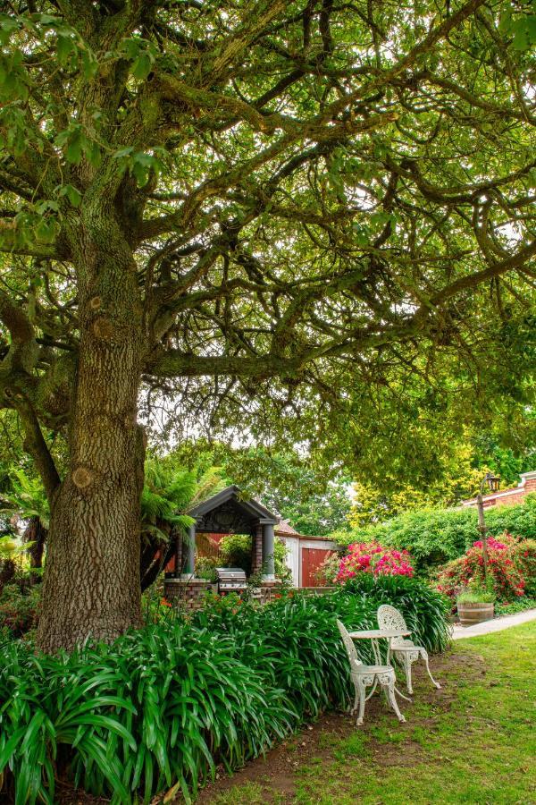 Alexandria Bed And Breakfast วินน์ยาร์ด ภายนอก รูปภาพ
