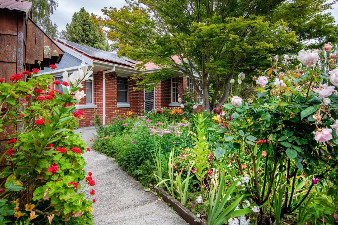 Alexandria Bed And Breakfast วินน์ยาร์ด ภายนอก รูปภาพ